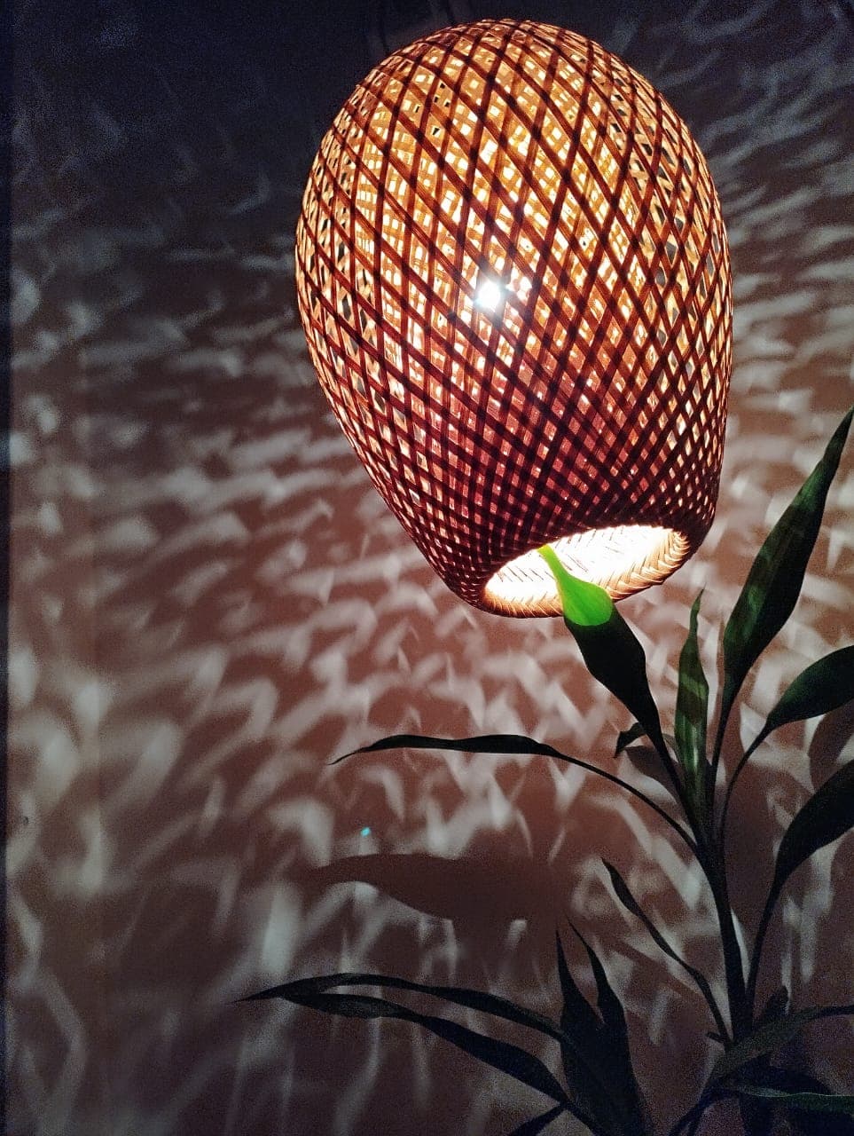 Chondrima thumbnail 3