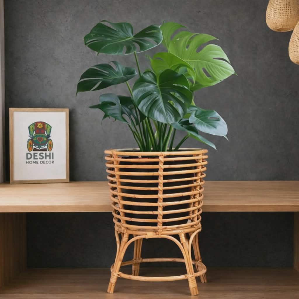 Bonolota planter