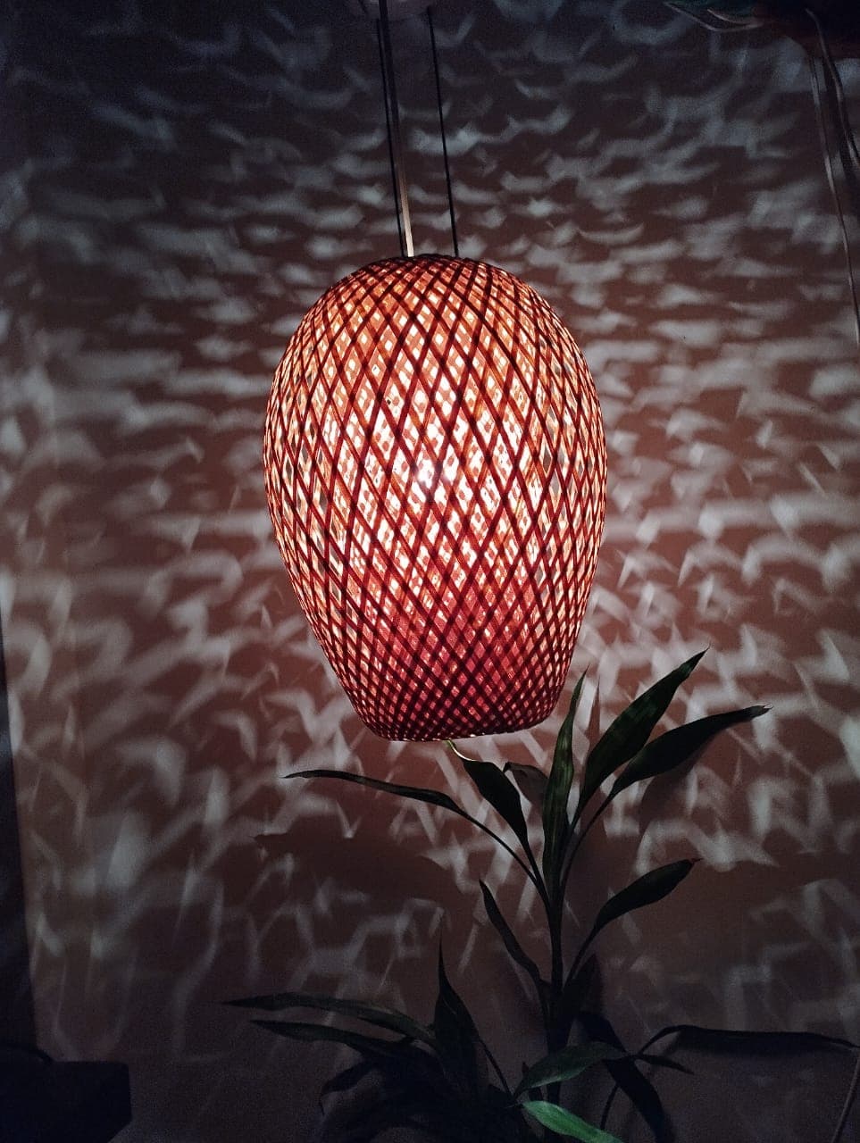 Chondrima thumbnail 2